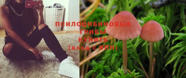 a pvp Новокубанск