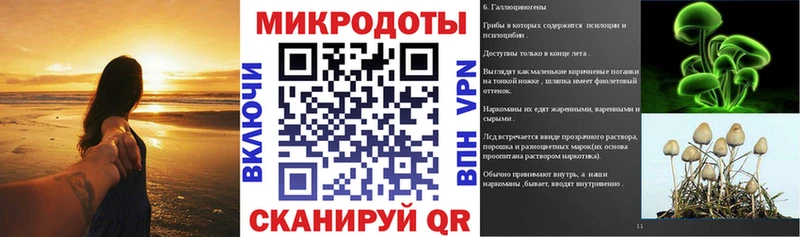 Галлюциногенные грибы MAGIC MUSHROOMS  блэк спрут зеркало  Тбилисская  наркота 