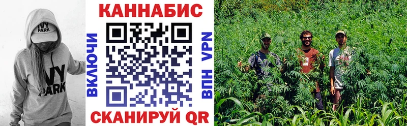 купить закладку Тбилисская Бошки Шишки THC 21%